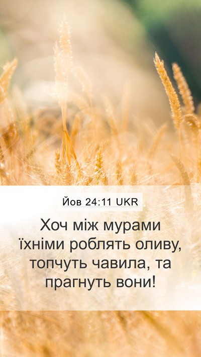 Йов 24:11 UKR Bible Verse Image