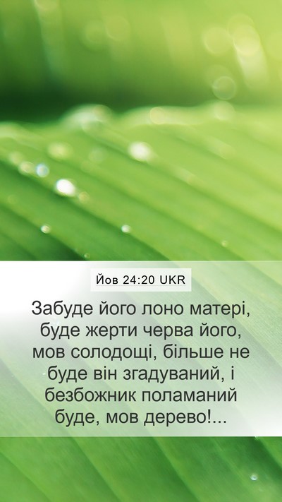 Йов 24:20 UKR Bible Verse Image