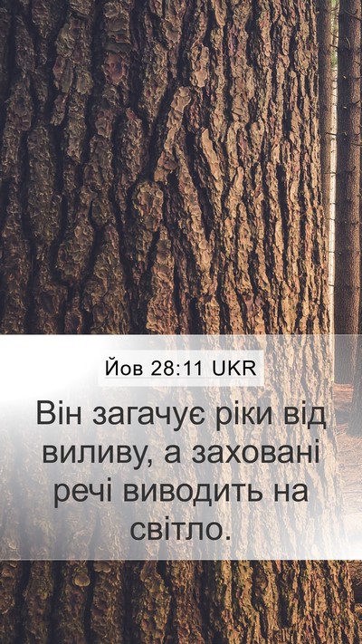 Йов 28:11 UKR Bible Verse Image