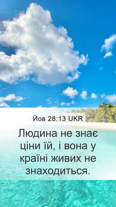 Йов 28:13 UKR Bible Verse Image
