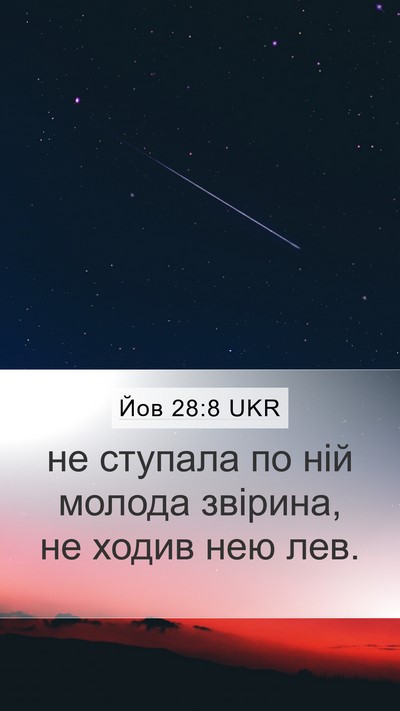Йов 28:8 UKR Mobile Phone Wallpaper - не ступала по ній молода - Mobile Bible Verse Wallpaper