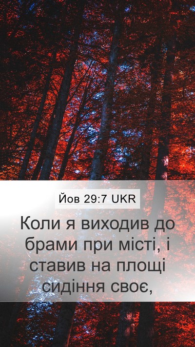 Йов 29:7 UKR Bible Verse Image