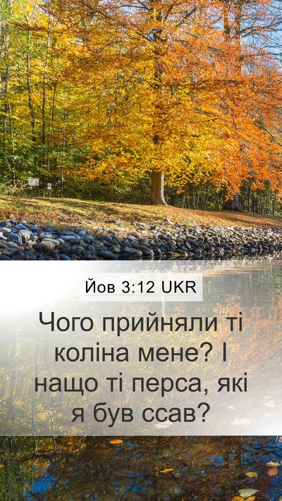 Йов 3:12 UKR Bible Verse Image