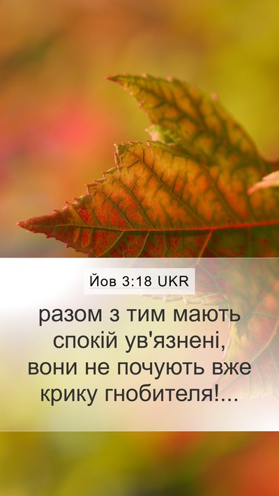 Йов 3:18 UKR Bible Verse Image