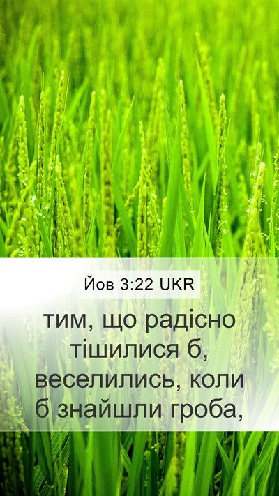Йов 3:22 UKR Bible Verse Image