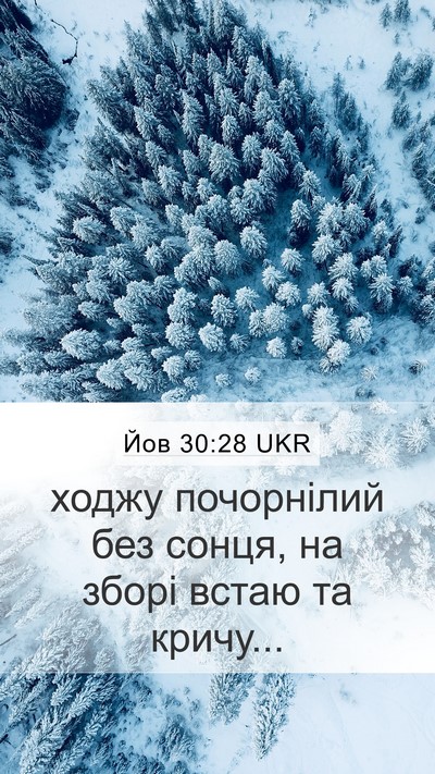 Йов 30:28 UKR Bible Verse Image