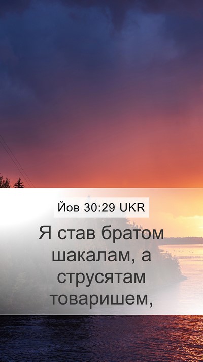 Йов 30:29 UKR Bible Verse Image
