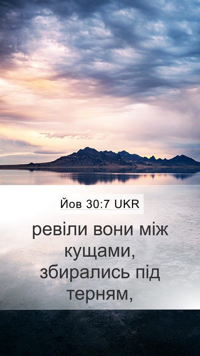 Йов 30:7 UKR Bible Verse Image