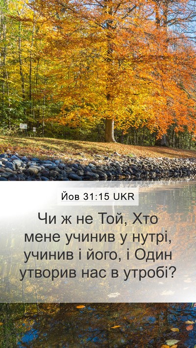 Йов 31:15 UKR Bible Verse Image