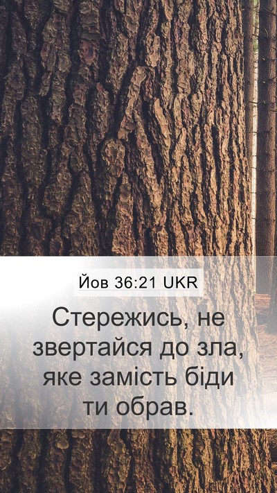 Йов 36:21 UKR Bible Verse Image