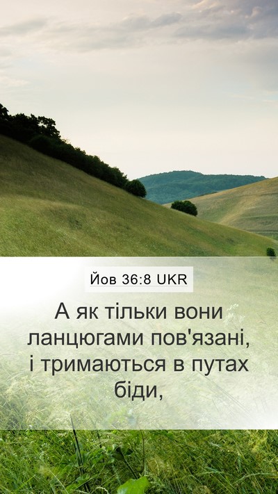Йов 36:8 UKR Bible Verse Image
