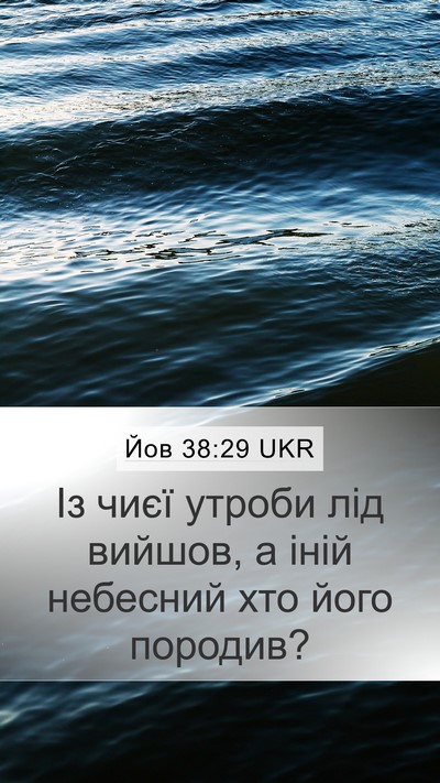 Йов 38:29 UKR Bible Verse Image