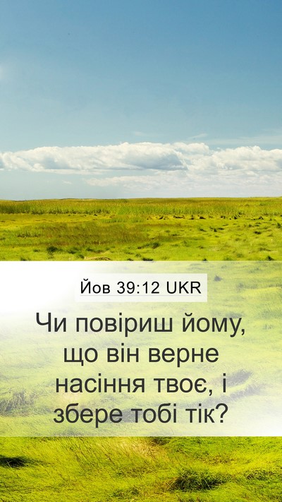 Йов 39:12 UKR Mobile Phone Wallpaper - Чи повіриш йому, що він - Mobile Bible Verse Wallpaper