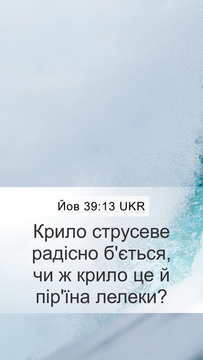 Йов 39:13 UKR Bible Verse Image