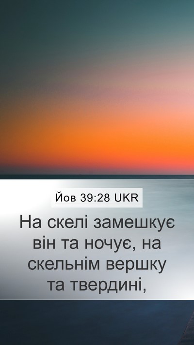 Йов 39:28 UKR Mobile Phone Wallpaper - На скелі замешкує він та - Mobile Bible Verse Wallpaper