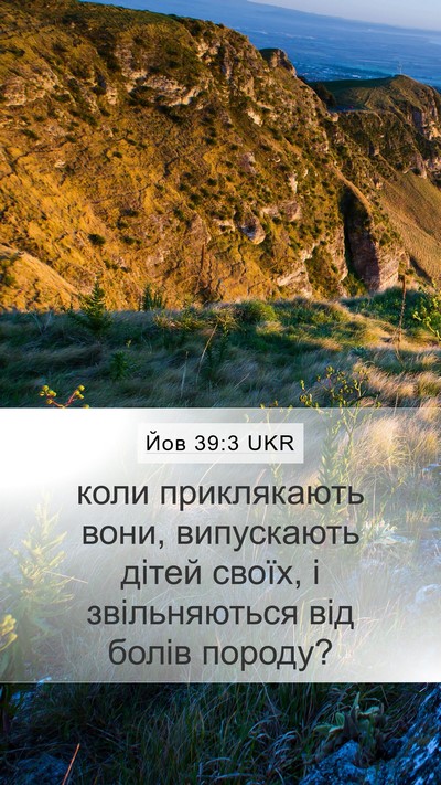 Йов 39:3 UKR Mobile Phone Wallpaper - коли приклякають вони, - Mobile Bible Verse Wallpaper