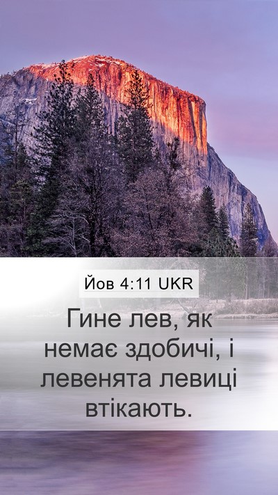 Йов 4:11 UKR Mobile Phone Wallpaper - Гине лев, як немає здобичі, - Mobile Bible Verse Wallpaper
