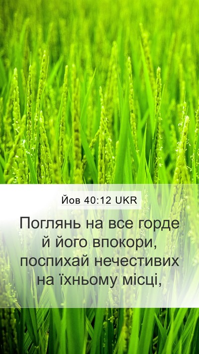 Йов 40:12 UKR Bible Verse Image