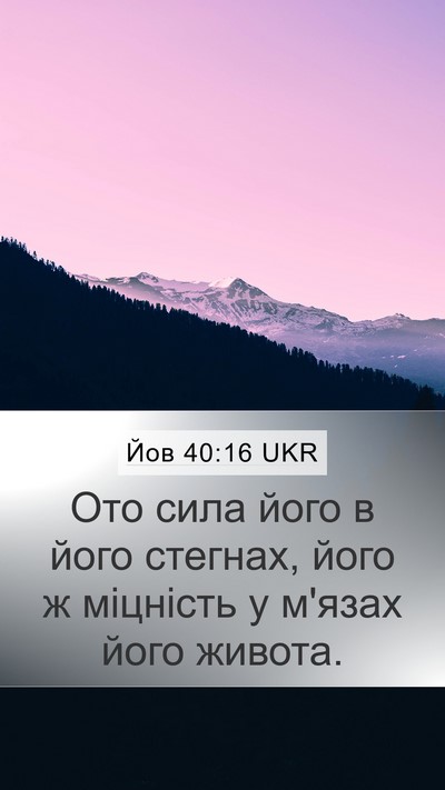 Йов 40:16 UKR Mobile Phone Wallpaper - Ото сила його в його - Mobile Bible Verse Wallpaper