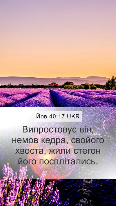 Йов 40:17 UKR Bible Verse Image