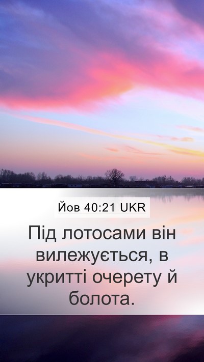 Йов 40:21 UKR Bible Verse Image