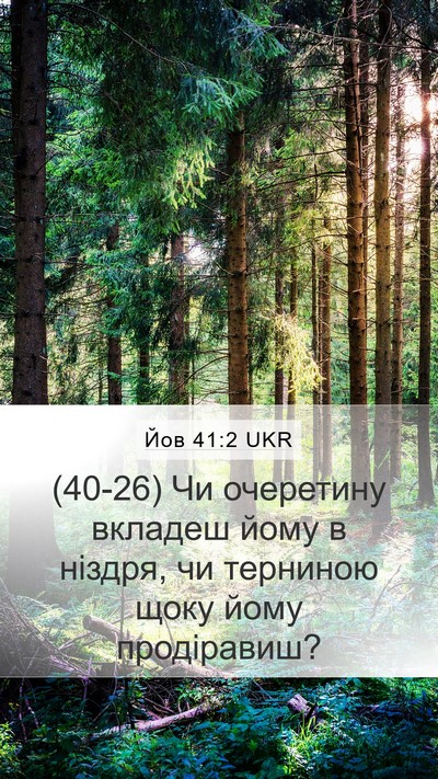 Йов 41:2 UKR Bible Verse Image