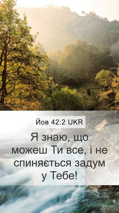 Йов 42:2 UKR Bible Verse Image