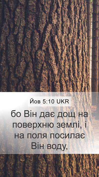 Йов 5:10 UKR Bible Verse Image