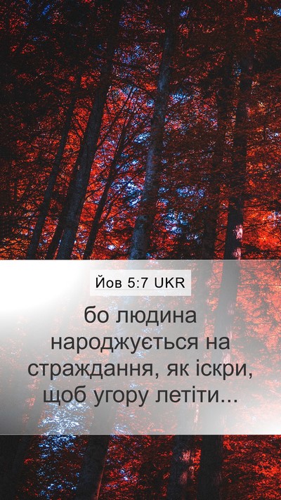 Йов 5:7 UKR Bible Verse Image