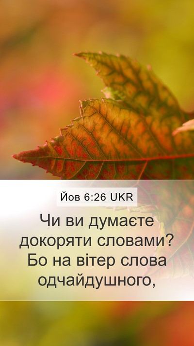 Йов 6:26 UKR Bible Verse Image