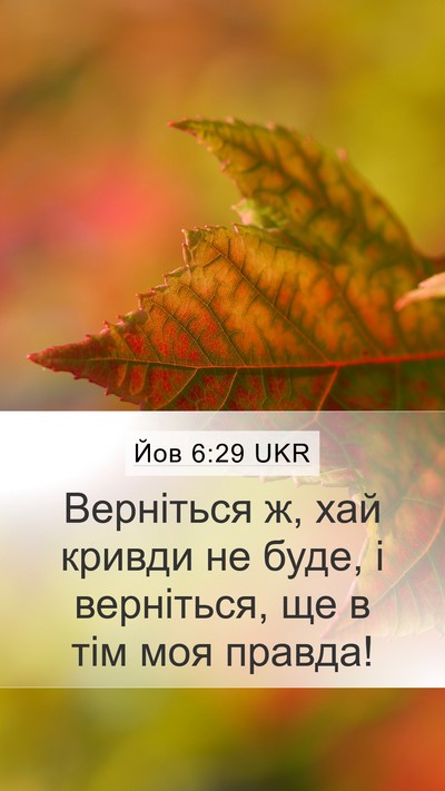 Йов 6:29 UKR Bible Verse Image