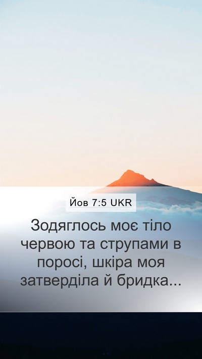 Йов 7:5 UKR Bible Verse Image