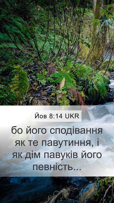 Йов 8:14 UKR Bible Verse Image