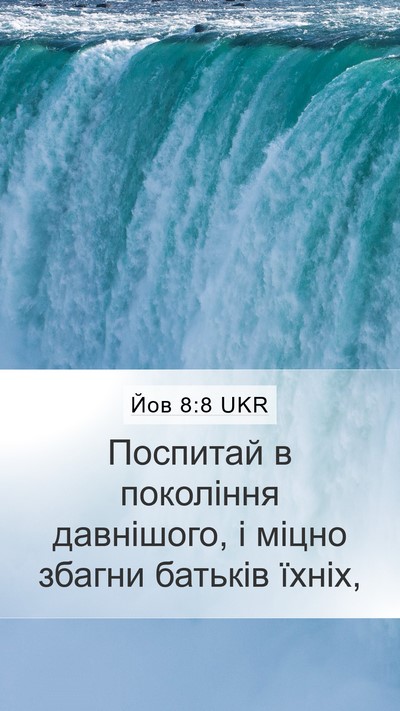 Йов 8:8 UKR Bible Verse Image