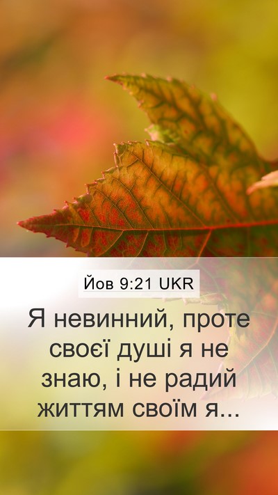 Йов 9:21 UKR Bible Verse Image