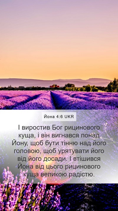 Йона 4:6 UKR Bible Verse Image