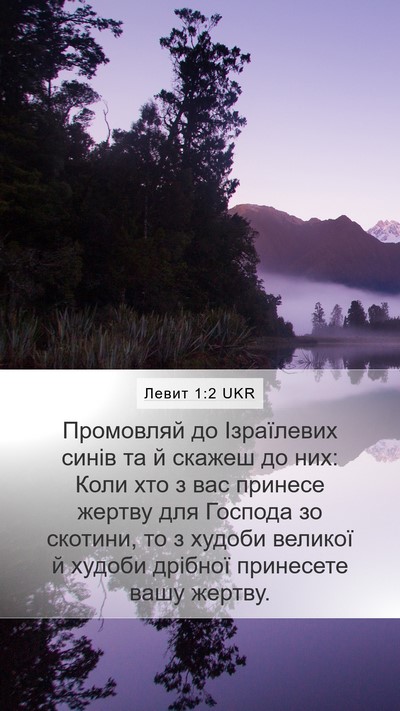 Левит 1:2 UKR Mobile Phone Wallpaper - Промовляй до Ізраїлевих - Mobile Bible Verse Wallpaper