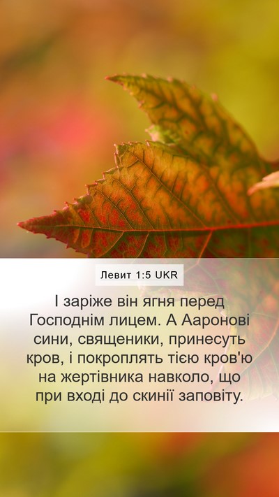 Левит 1:5 UKR Bible Verse Image