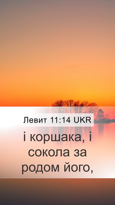Левит 11:14 UKR Mobile Phone Wallpaper - і коршака, і сокола за - Mobile Bible Verse Wallpaper
