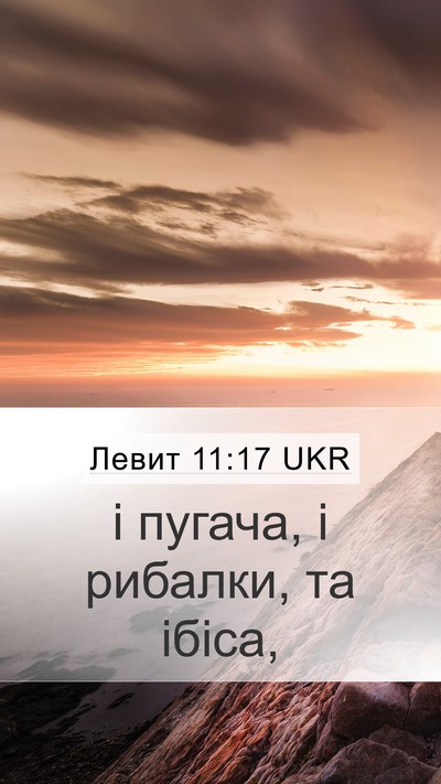 Левит 11:17 UKR Mobile Phone Wallpaper - і пугача, і рибалки, та - Mobile Bible Verse Wallpaper