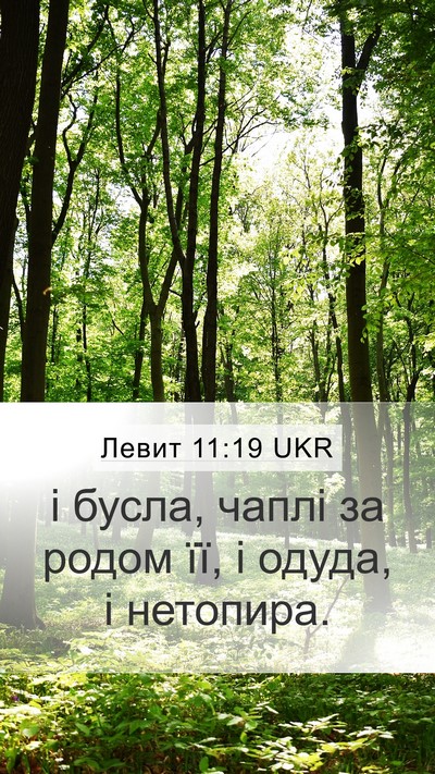 Левит 11:19 UKR Bible Verse Image