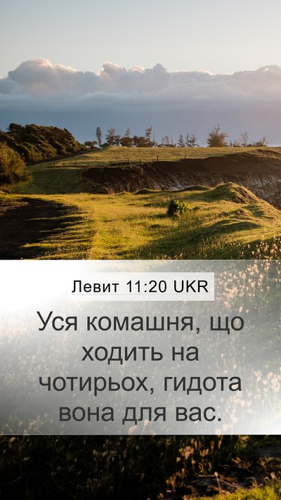 Левит 11:20 UKR Bible Verse Image