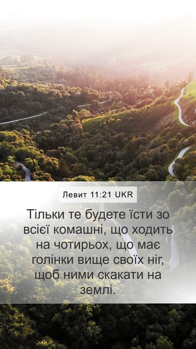 Левит 11:21 UKR Mobile Phone Wallpaper - Тільки те будете їсти зо - Mobile Bible Verse Wallpaper