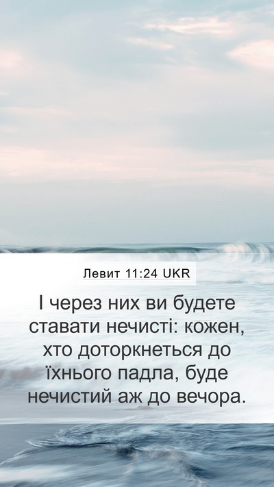 Левит 11:24 UKR Bible Verse Image