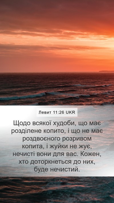 Левит 11:26 UKR Bible Verse Image