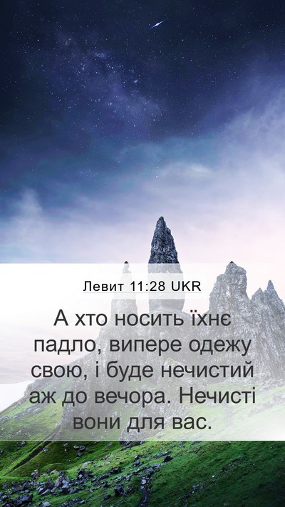 Левит 11:28 UKR Bible Verse Image