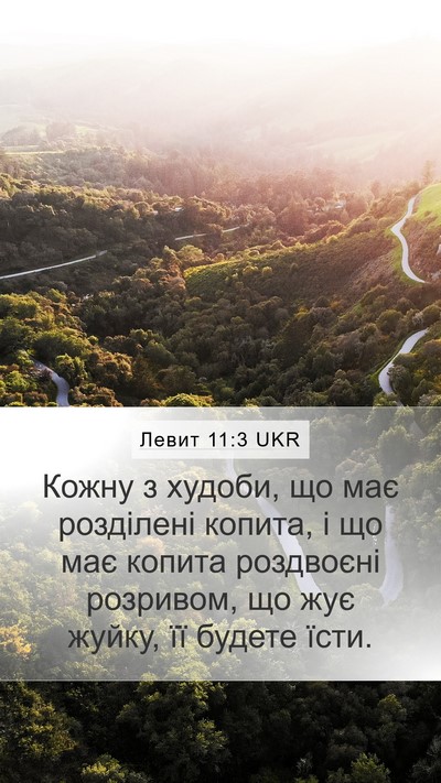 Левит 11:3 UKR Mobile Phone Wallpaper - Кожну з худоби, що має - Mobile Bible Verse Wallpaper