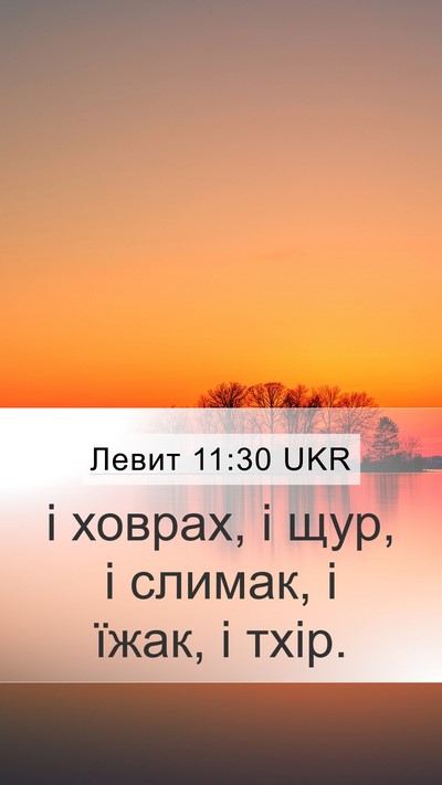 Левит 11:30 UKR Mobile Phone Wallpaper - і ховрах, і щур, і слимак, і - Mobile Bible Verse Wallpaper