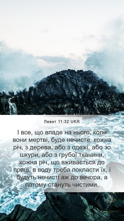 Левит 11:32 UKR Bible Verse Image