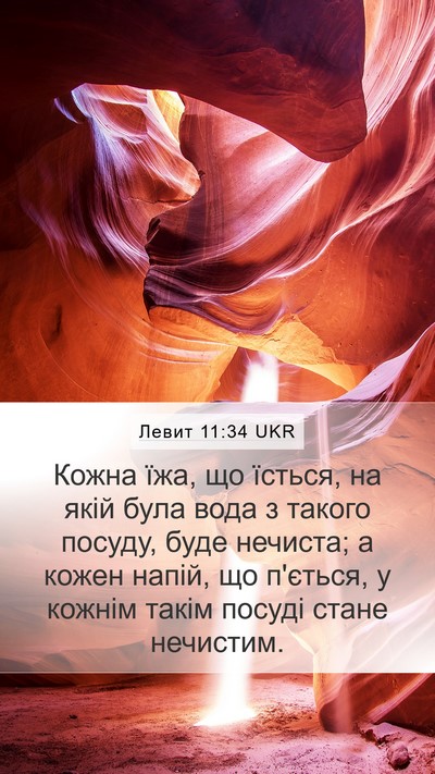 Левит 11:34 UKR Mobile Phone Wallpaper - Кожна їжа, що їсться, на - Mobile Bible Verse Wallpaper